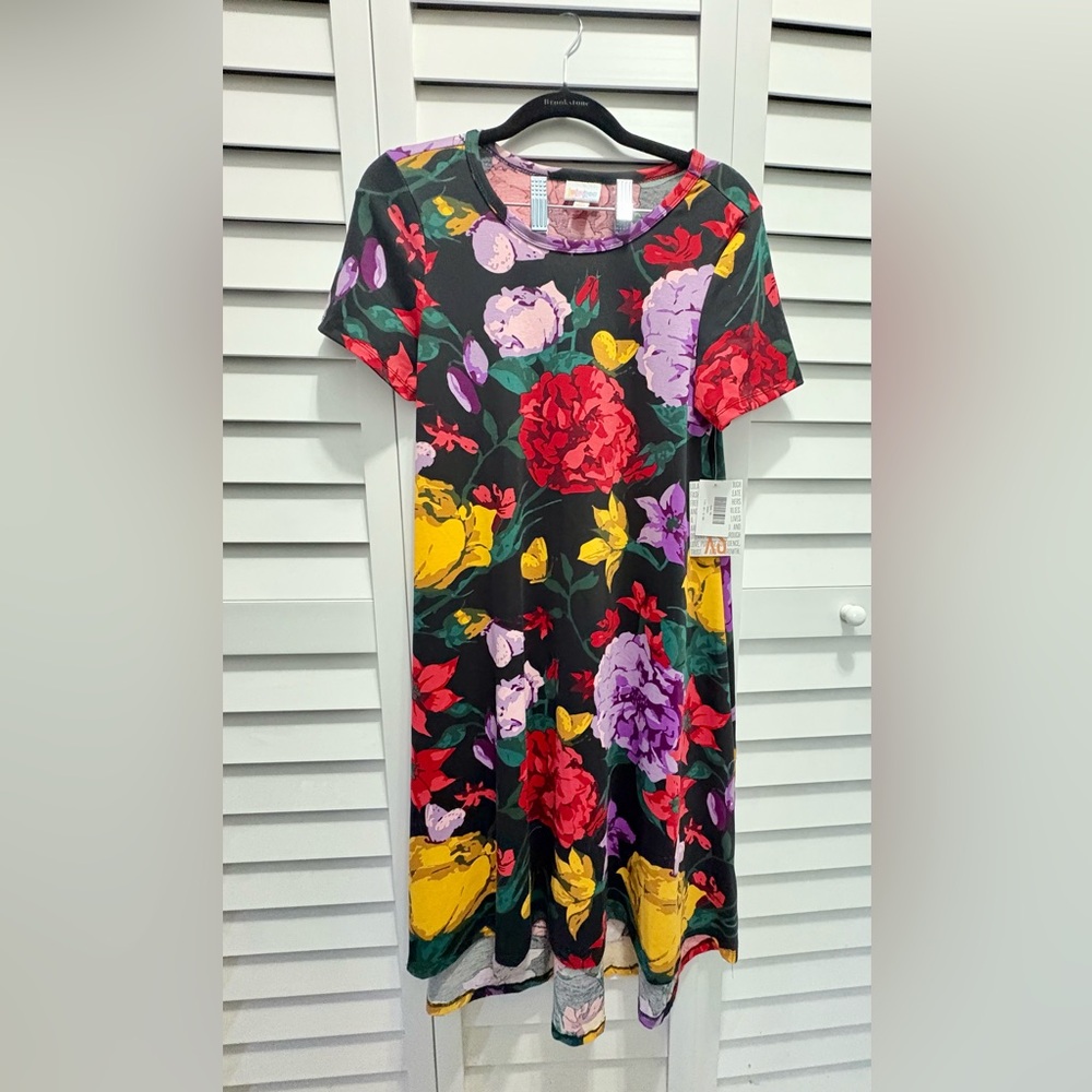 NWT LuLaRoe Carly XS